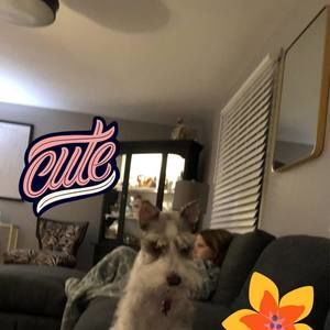 Meet your Posher, Audrey